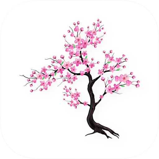 Timefully - Timer per meditare